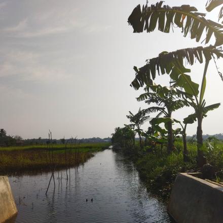 PEMBERSIHAN ALIRAN SUNGAI PERSAWAHAN DESA BAWAHAN PASAR