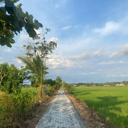 PEMBUATAN JALAN USAHA TANI DI RT 3 DESA BAWAHAN PASAR
